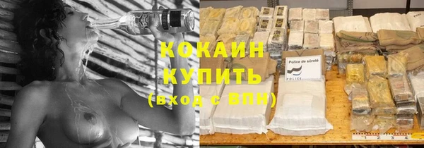 2c-b Бородино