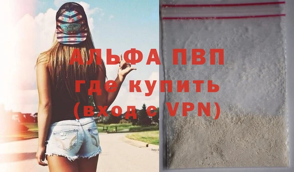 твердый Богданович