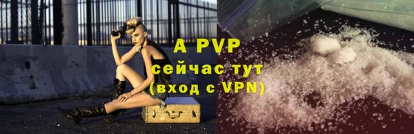 2c-b Бородино